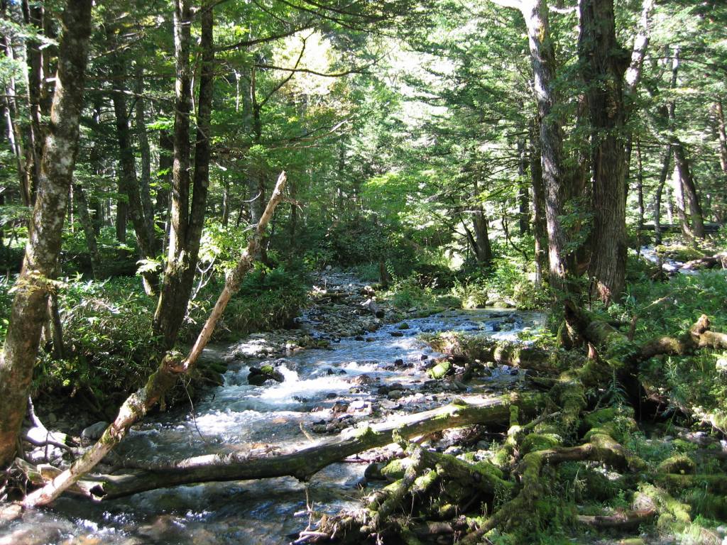 gal/Do-Nichi Kippu/Nagano - Kamikochi/109_0922.jpg